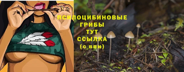 2c-b Коряжма