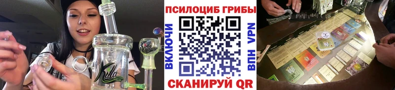 купить   Чаплыгин  Псилоцибиновые грибы Psilocybe 